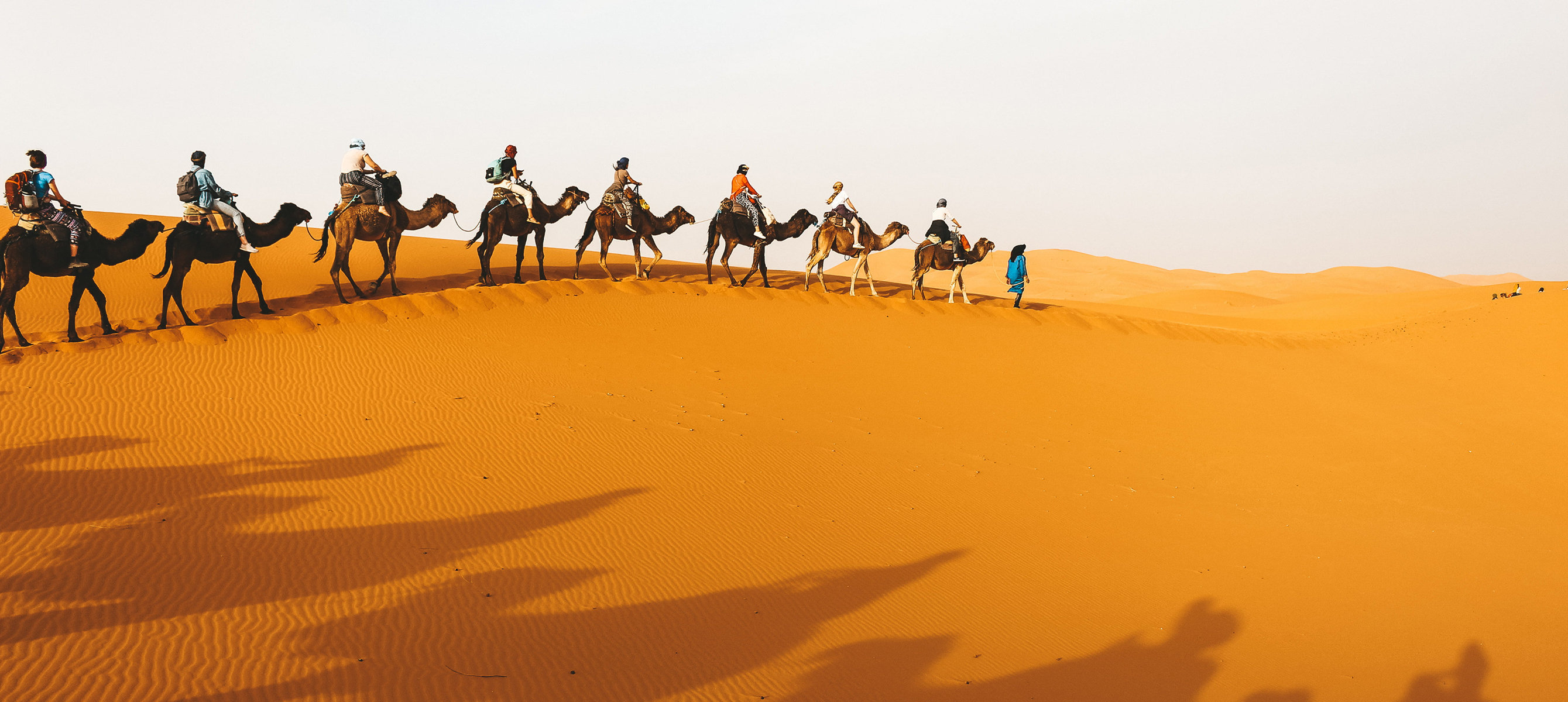 Majesty Merzouga Desert